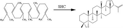 A Novel Soluble Squalene-Hopene Cyclase and Its Application in Efficient Synthesis of Hopene